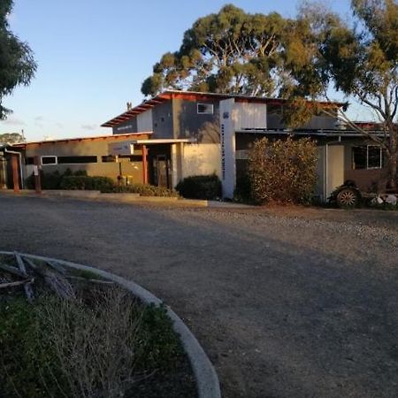 Swansea Backpacker Lodge Суонси Екстериор снимка
